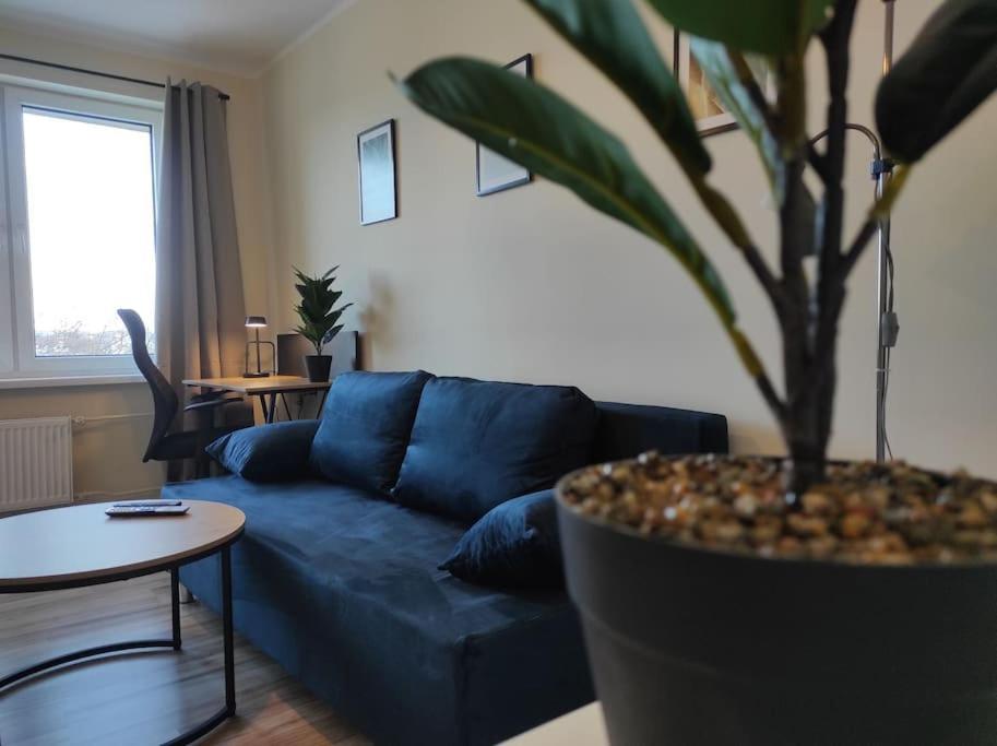 ***Santorini Apartament*** - 40M² ✓ Rybnik  Exterior foto
